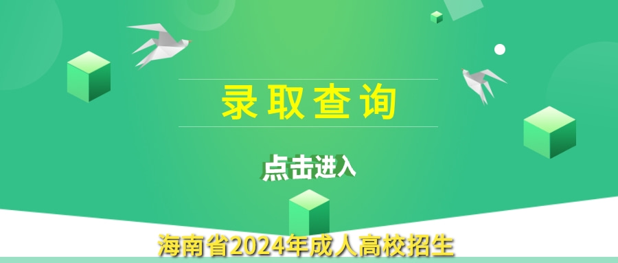 海南省2024成考录取查询